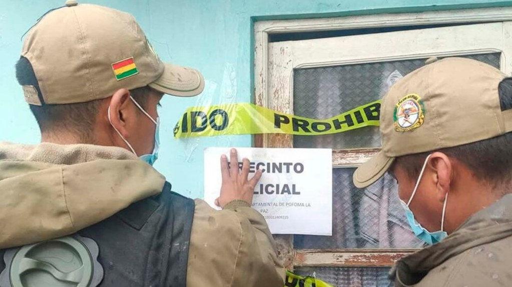 Refugio clandestino, 11 gatos muertos y congelados y una&nbsp;detenida