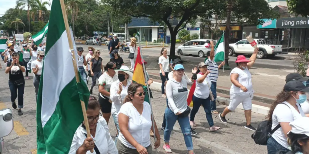 Cívicos convocan marcha ciudadana en Santa Cruz en defensa del voto y la&nbsp;democracia
